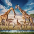 Ile trwa ciąża żyrafy